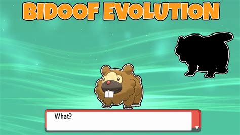 what does bidoof evolve into.